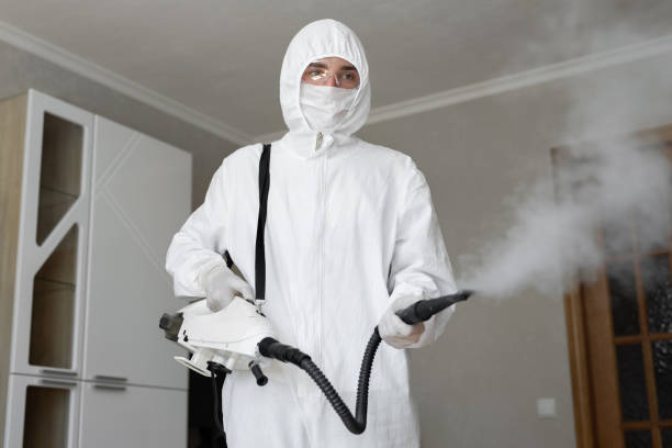 Biohazard Mold Removal in Lonoke, AR