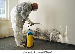 Trusted Lonoke, AR Mold Removal & Remediation Experts